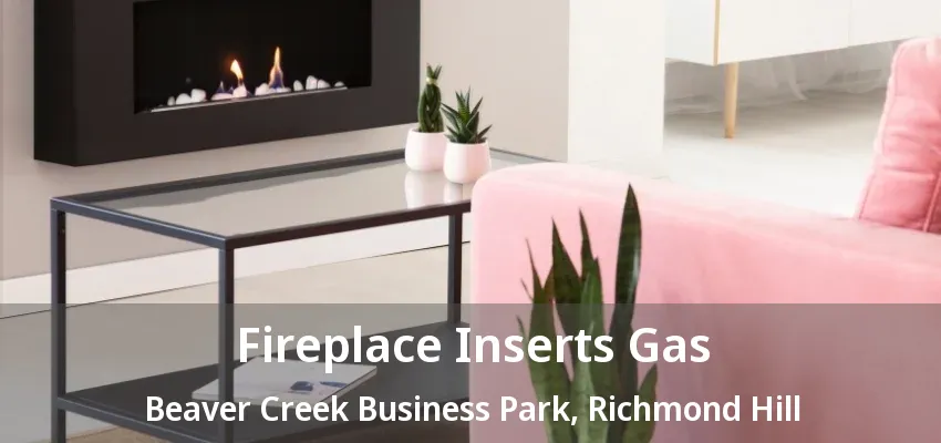 Fireplace Inserts Gas Beaver Creek Business Park, Richmond Hill - ON