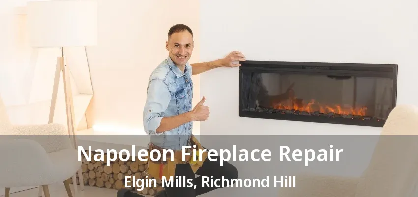 Napoleon Fireplace Repair Elgin Mills, Richmond Hill - ON