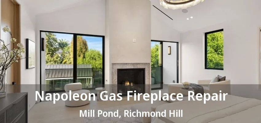 Napoleon Gas Fireplace Repair Mill Pond, Richmond Hill - ON