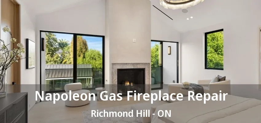 Napoleon Gas Fireplace Repair Richmond Hill - ON Napoleon Gas Fireplace Repair Richmond Hill - ON