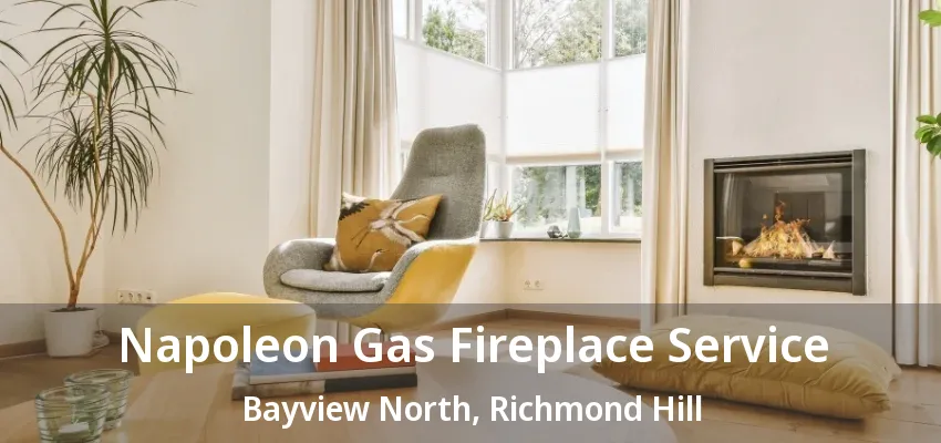 Napoleon Gas Fireplace Service Bayview North, Richmond Hill - ON