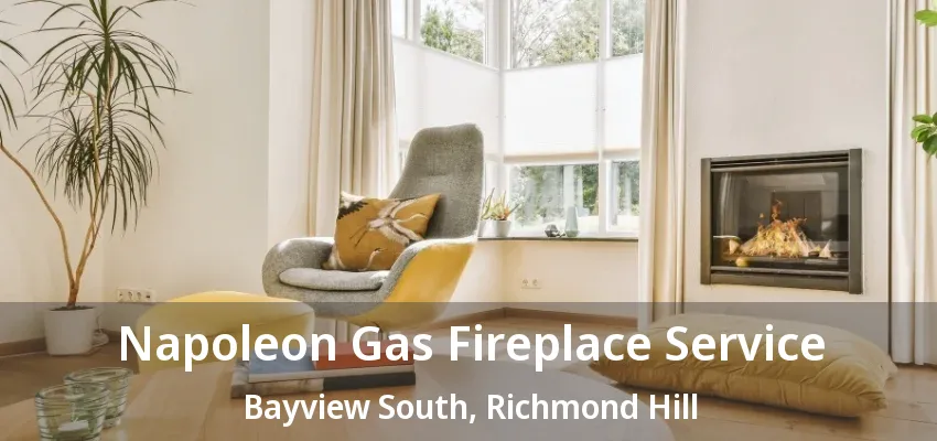 Napoleon Gas Fireplace Service Bayview South, Richmond Hill - ON Napoleon Gas Fireplace Service Bayview South, Richmond Hill - ON