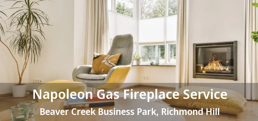 Napoleon Gas Fireplace Service Beaver Creek Business Park, Richmond Hill - ON Napoleon Gas Fireplace Service Beaver Creek Business Park, Richmond Hill - ON