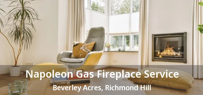 Napoleon Gas Fireplace Service Beverley Acres, Richmond Hill - ON Napoleon Gas Fireplace Service Beverley Acres, Richmond Hill - ON