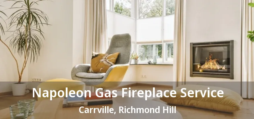 Napoleon Gas Fireplace Service Carrville, Richmond Hill - ON
