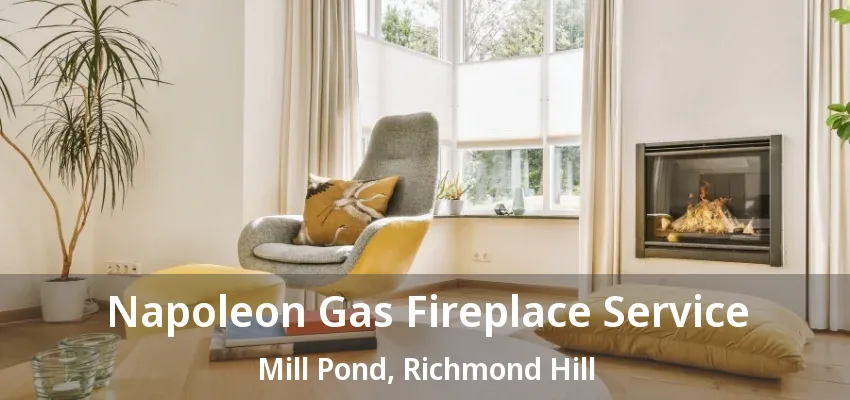 Napoleon Gas Fireplace Service Mill Pond, Richmond Hill - ON Napoleon Gas Fireplace Service Mill Pond, Richmond Hill - ON