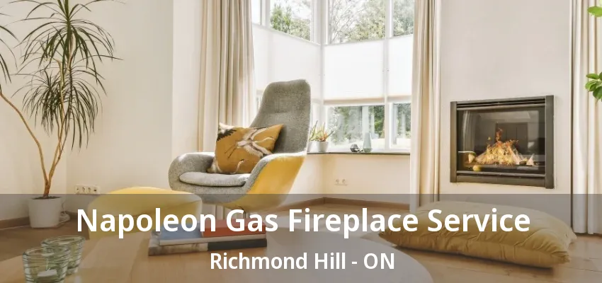 Napoleon Gas Fireplace Service Richmond Hill - ON