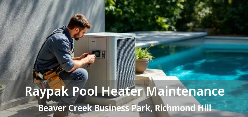 Raypak Pool Heater Maintenance Beaver Creek Business Park, Richmond Hill - ON Raypak Pool Heater Maintenance Beaver Creek Business Park, Richmond Hill - ON
